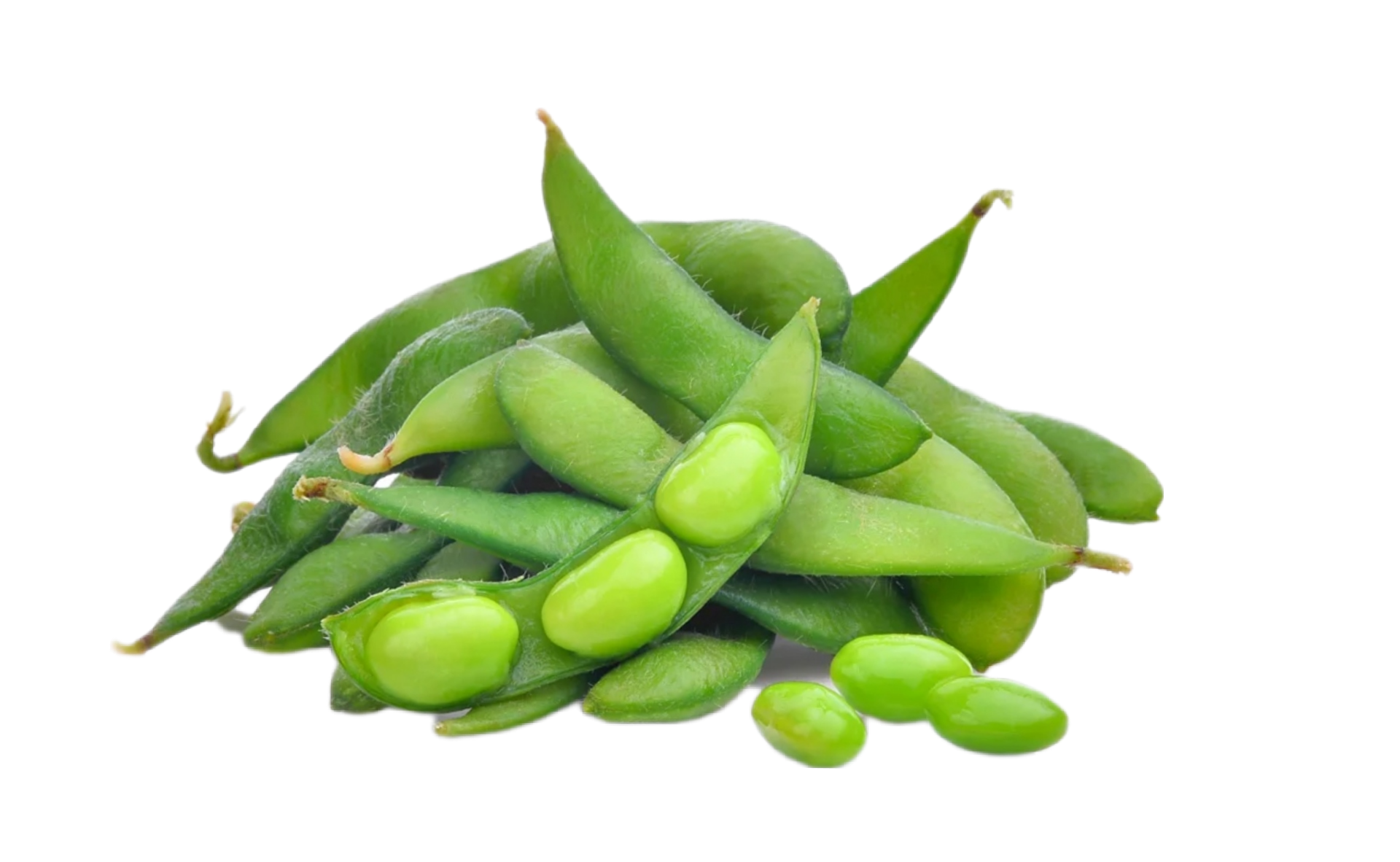 Edamame